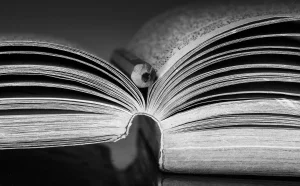 كورسات IELTS في قطر: دليلك الشامل للحصول على أعلى الدرجات بخطط تدريب احترافية ومعلمين معتمدين